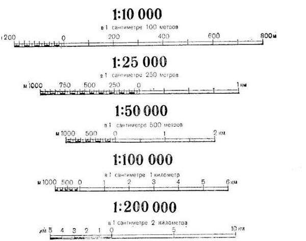 Какие бывают масштабы карт. Масштаб топографических карт. Что он показывает и какие бывают?