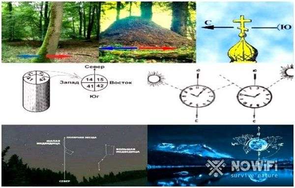 Ориентация сторон света. ориентирование на местности. часть 1. стороны горизонта. ориентирование
