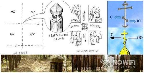 Ориентация сторон света. ориентирование на местности. часть 1. стороны горизонта. ориентирование