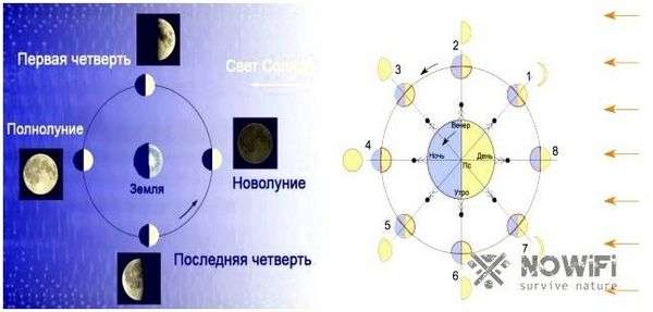 Ориентация сторон света. ориентирование на местности. часть 1. стороны горизонта. ориентирование