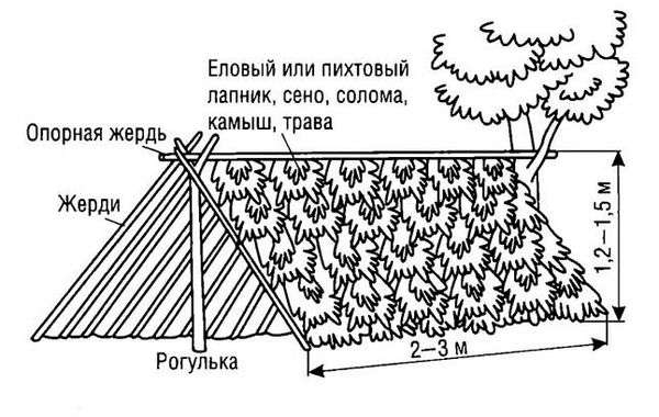 Шалаш на улице из веток. Как сделать шалаш из веток своими руками