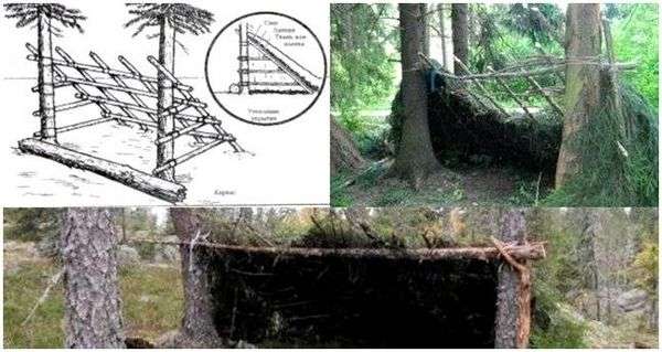 Шалаш на улице из веток. Как сделать шалаш из веток своими руками