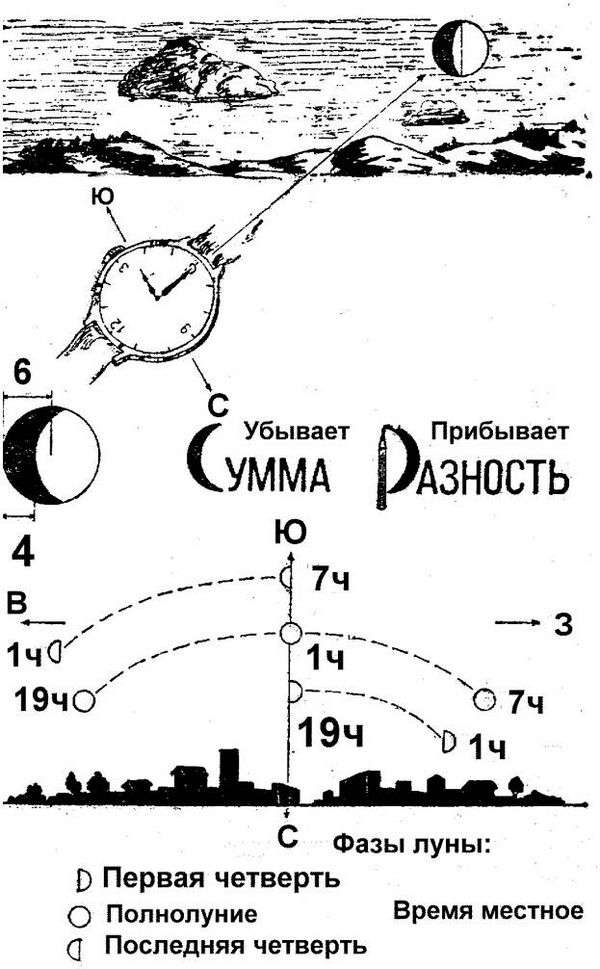 Сущность ориентирования на местности. Ориентирование на местности