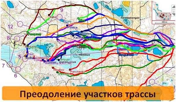 Болото условный знак на карте. Условные знаки карт для спортивного ориентирования