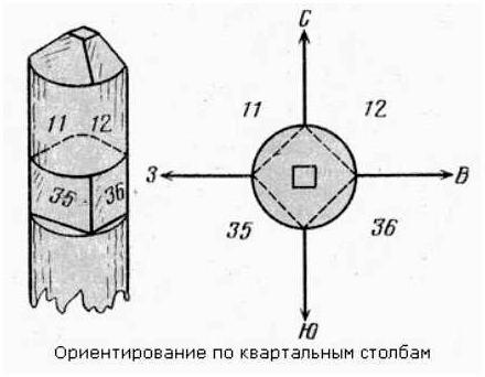 Ориентирование в лесу без компаса способы определения сторон света