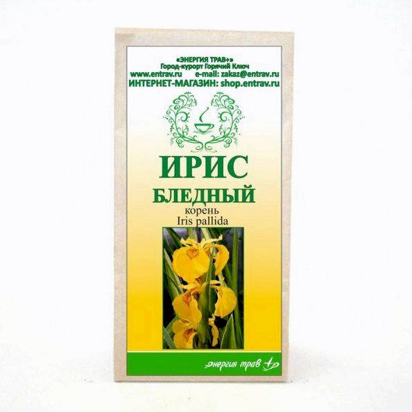 Лекарственное растение - Касатик бледный Лекарственное растение - Касатик бледный